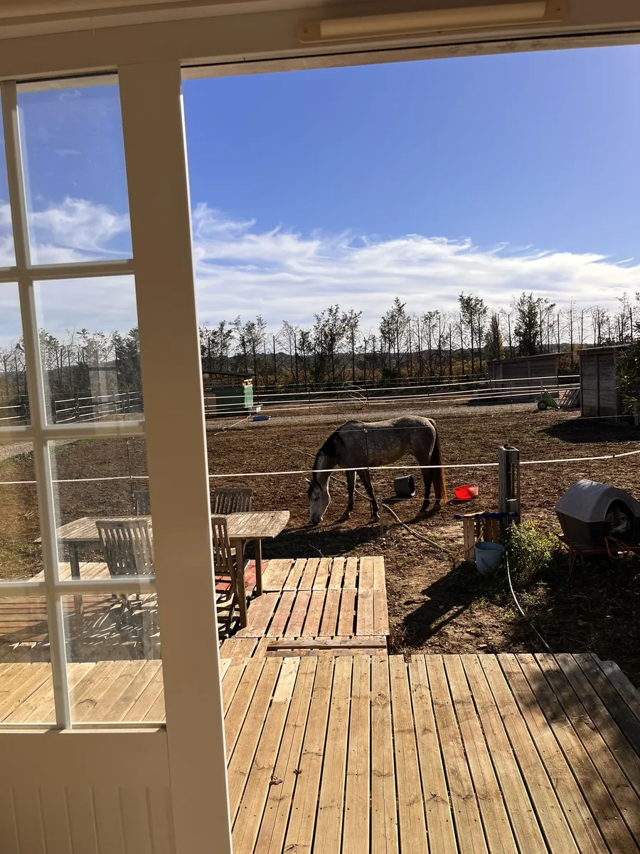Chambre de la maisonnette avec vue sur les mini-chevaux, gîte L'Arche du Négadis à Paulhan