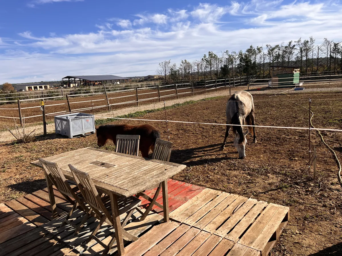 Maisonnette — terrasse avec vue sur les mini-chevaux